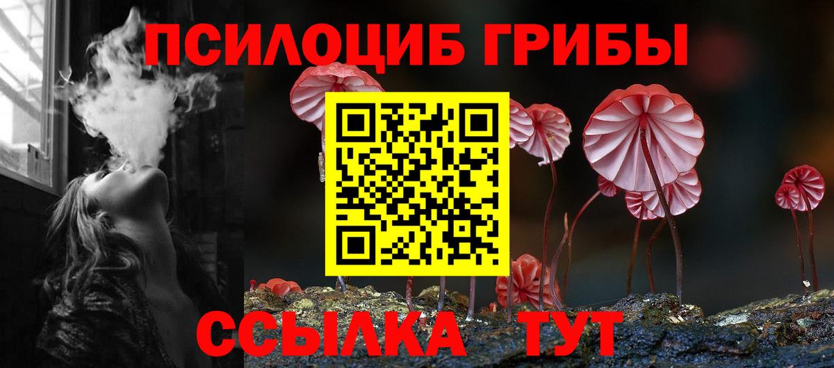 Галлюциногенные грибы GOLDEN TEACHER  Вход с VPN  наркота  Свободный  Галлюциногенные грибы прущие грибы 